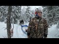 2020-21 Alaska Wolf Trapping: Feb 6- SNOW DAY