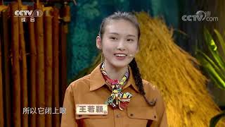 [正大综艺·动物来啦]视频中竹鼠啃竹子时闭眼是为了发力| CCTV