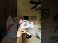 I came I saw I left #dragonpuppetcommunity #dragonpuppets #creative #funny #puppeteer #goviral #fyp