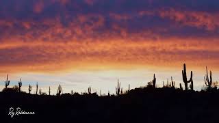 Panoramic Arizona Sonoran Desert Sunrise Landscape Time-Lapse