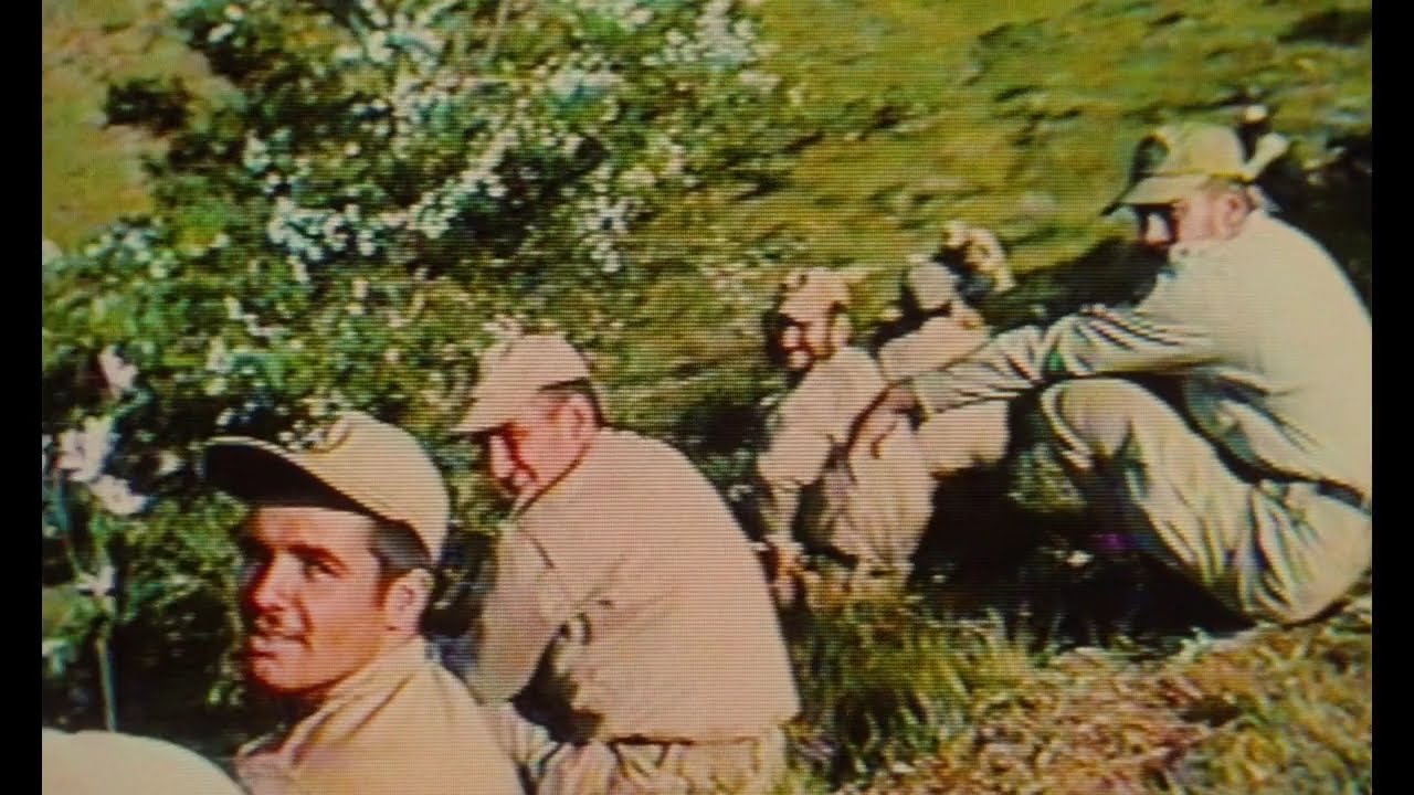 St  James Infirmary Blues by Louis Armstrong (from the ending scene from Taste of Cherry)