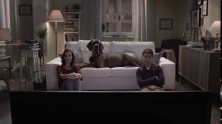 Isola Dei Tesori Chi Comanda A Casa Tua 2016  Soggetto Cane