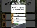What is a group of fish called?🤔 #quiz #quizshorts #hardquiz #trivia #shorts