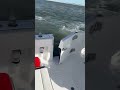 Wild Video Shows Huge Whale Striking Long Island Fishing Boat