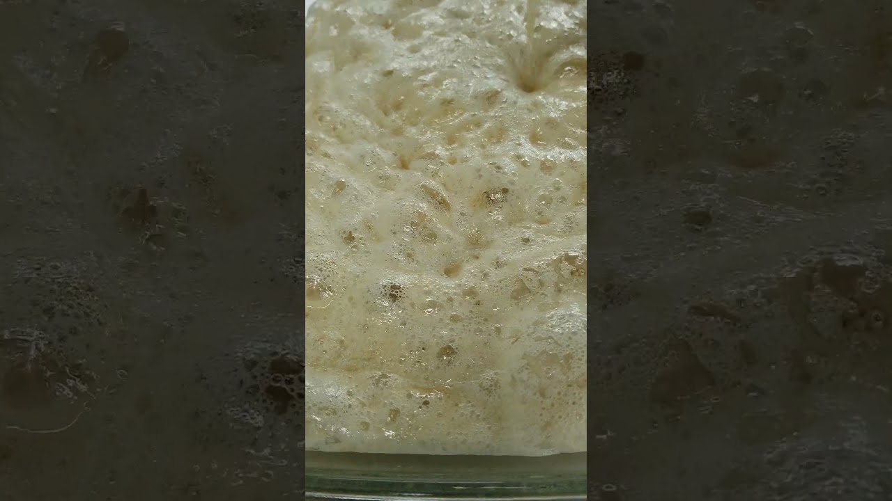 BHO Cannabis Extract Pourno video Pour Out Butane Cannabis Extraction