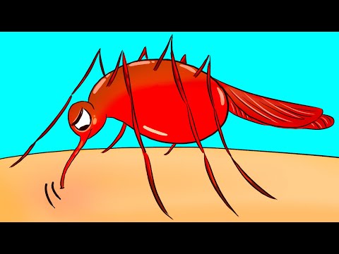 Видео: Почему комары больше привлекают некоторых людей, чем других?