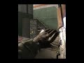 Call of Duty Black ops Part 18 💀 #shorts #shortvideo #reels #gaming #cod #blackops #viral #trend