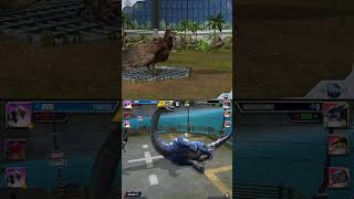 NEW POUKADEI ALL ANIMATION | Jurassic World The Game