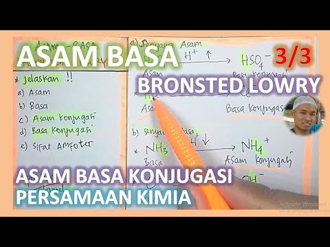 Video: Perbedaan Antara Amfolit Dan Amfoterik