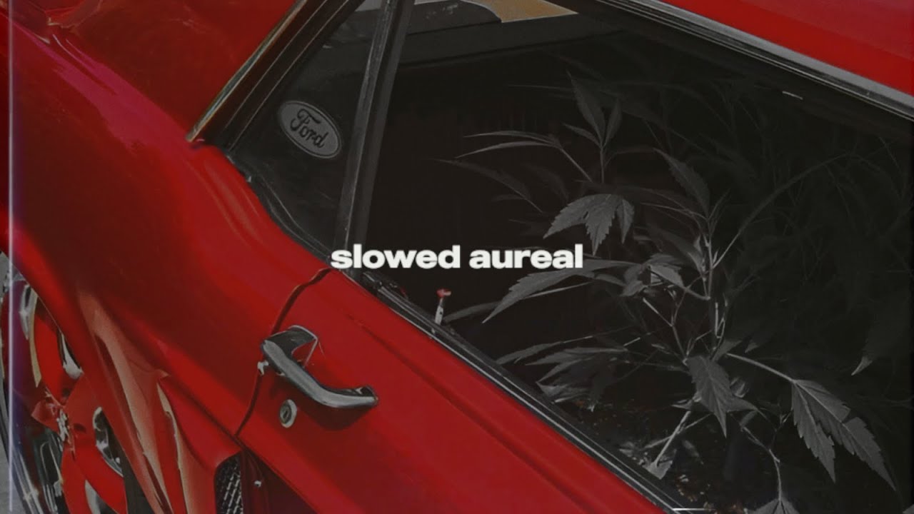 addison rae - diet pepsi (slowed + reverb) addison rae - diet pepsi (slowed + reverb)