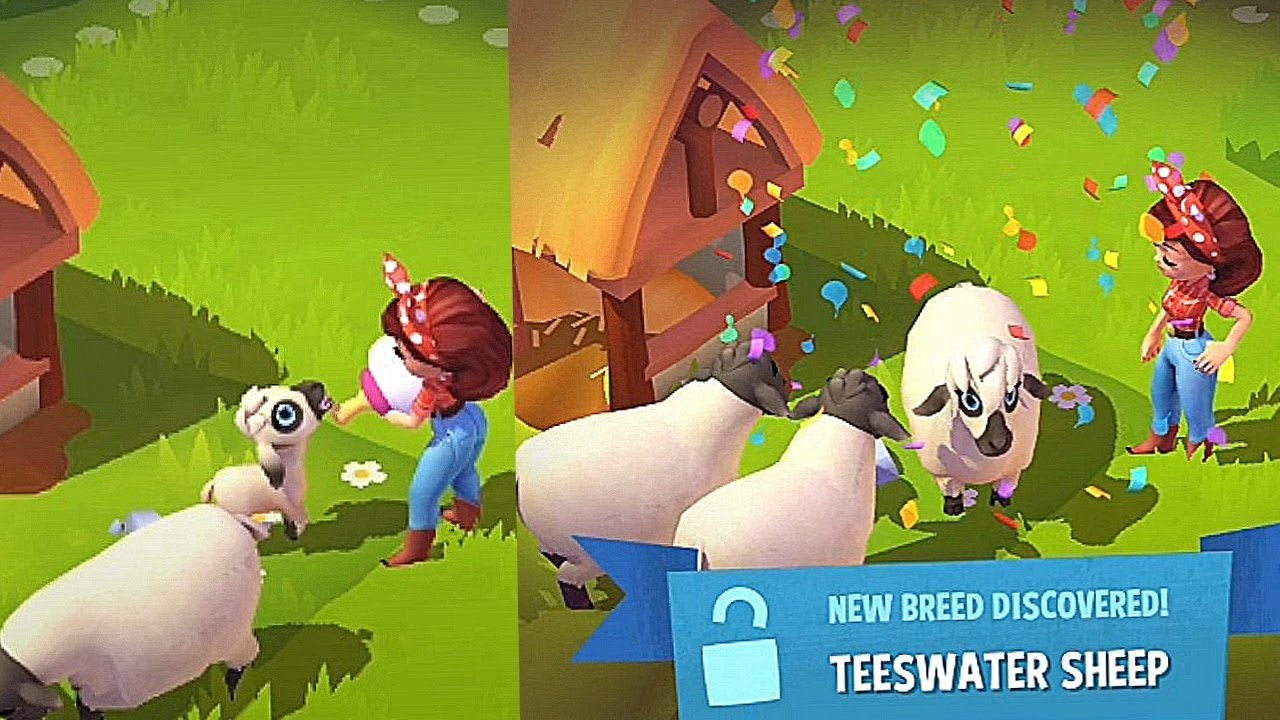 Farmville 3 Teeswater Sheep new breed discovered! new breed of sheep | sheep home 100% done