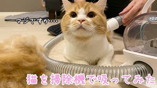 長毛猫を掃除機で吸った結果がこちらですw