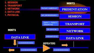 OSI Model  NetworksMania