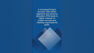 What is Project Portfolio Management?
