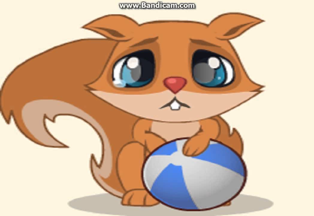 Белка плачет картинки