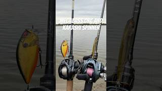 @MegabassAmerica ORC and Karashi Spinner. #bassfishing #megabass #fishing #bass