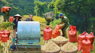 Harvesting seasonal rice, threshing rice with a mini thresher, eating with family, rural life