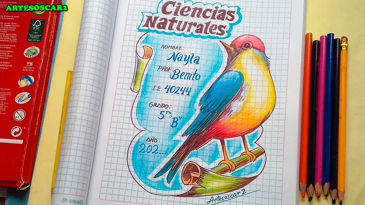 INCREDIBLE! Portada de CIENCIAS NATURALES - easy cover of natural sciences  - birds - thptnganamst.edu.vn