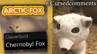 Rcursedcomments This Makes Me Hurt