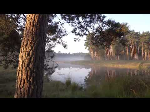 Arthy Myst -