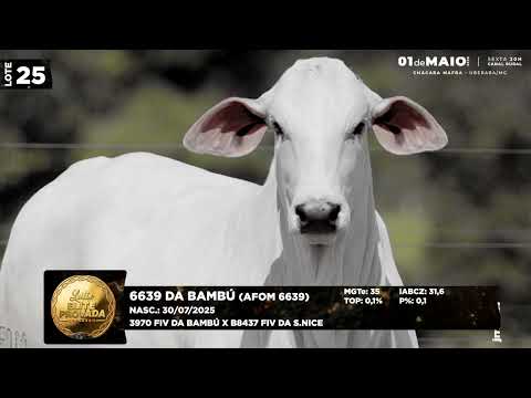LOTE 25   AFOM 6639
