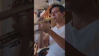 SUAVE | Luis Miguel | INTRO TROMPETA🎺