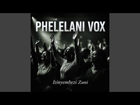 Izinyembezi Zami