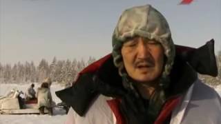 Охота на Северного оленя в Якутии Охота на Северного оленя в Якутии