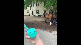WILLIAMSBURG (Virginia, USA) #williamsburg #weekendtrip
