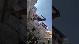 Jumping In Old Rajasthan #travel #explore #adventure #shortvideo #india #shorts