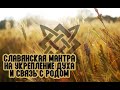 Славянская мантра. Укрепление здоровья и духа. Связь с Родом