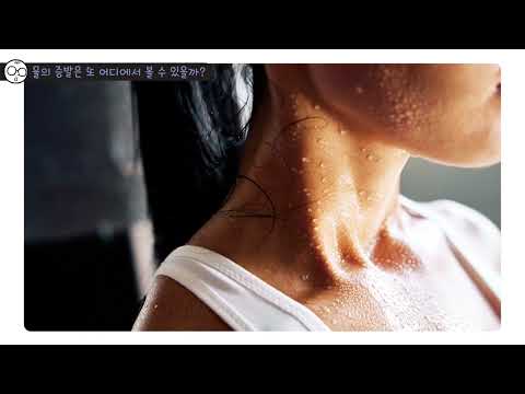 안다과학 11호1단계4주 경험하기2