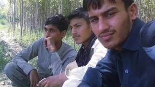 Bro bro har ja bego ke yare man dehwona bot full hd song . EA