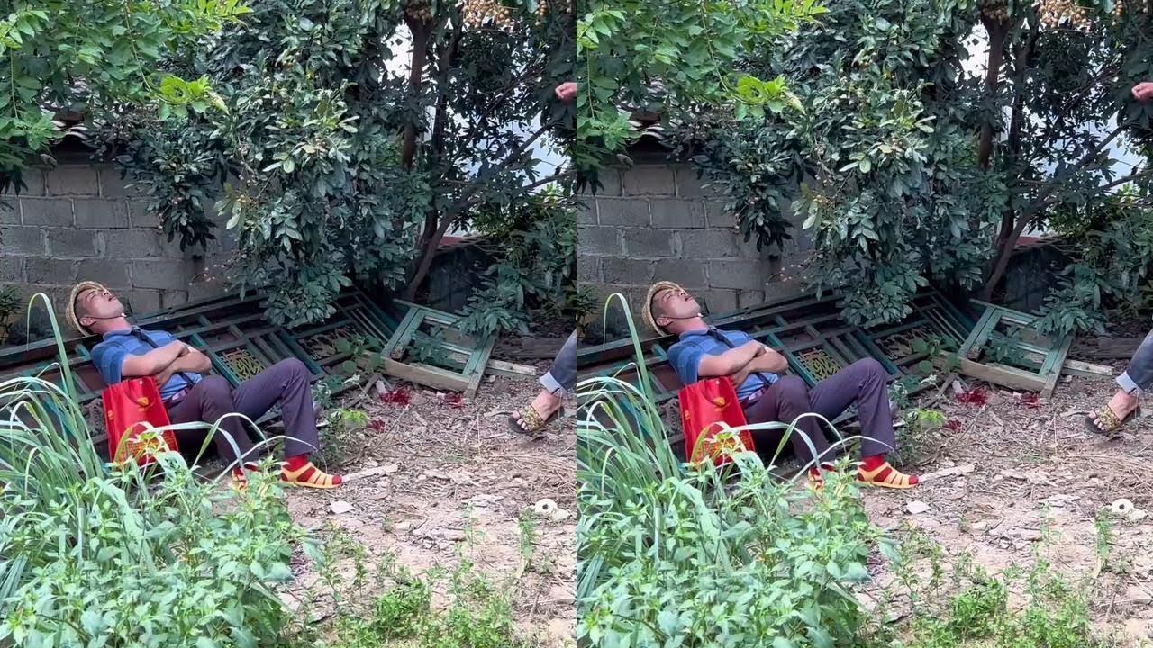 Just sleep all day! #Rural Funny Jokes #My Rural Life