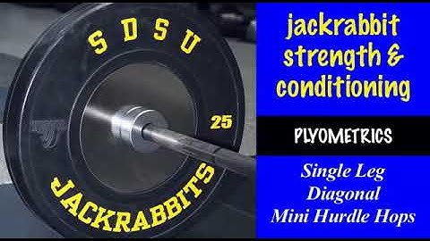 Single Leg Diagonal Mini Hurdle Hops