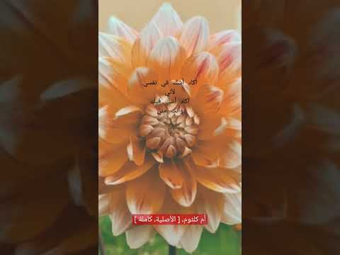 أم كلثوم ثورة الشك