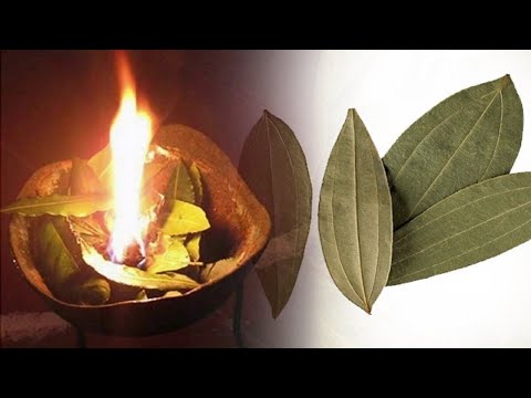 Burn These Leaves Of Your Home , Most Of Your Problems Disappear in 10 Minutes