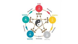 LAMP ACUWEBINARS 19: Five Elements Interpromoting Cycle, Blood Deficiency, Deep Pulse, Jiao Scalp