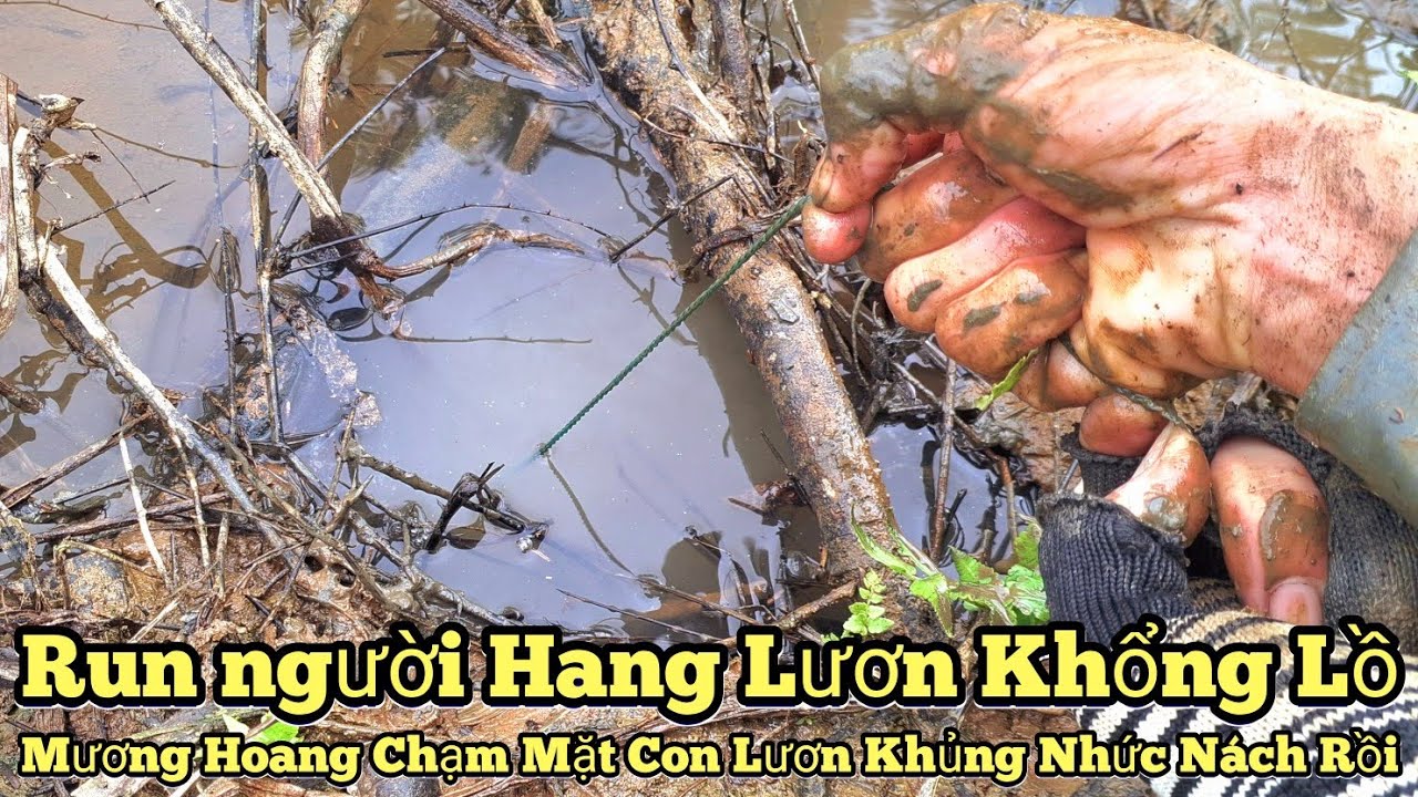 Ловля гигантских угрей в канаве... Встреча с ужасающим монстром! Эпизод 1031 // Ловля гигантских ...