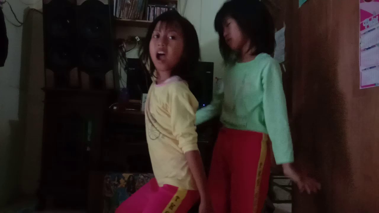 anak kembar 