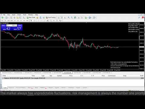 Live XAUUSD- FTMO Fund- My Trading Strategy- 8/8/2023