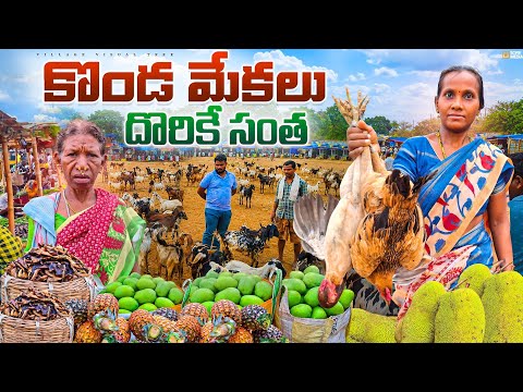seethampeta tribal market || seethampeta santha 
