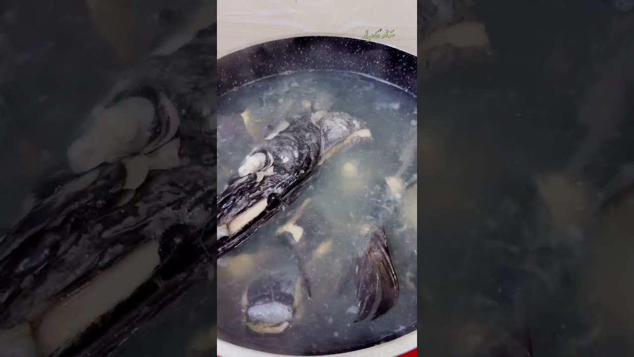 Kahttelhi Garudhiya  ❤️ 