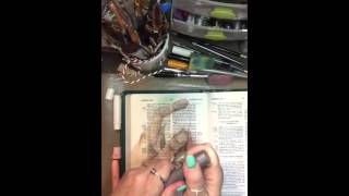 Bible Journaling with Gelatos