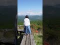 八ヶ岳南麓・森の中の白い妖精たち