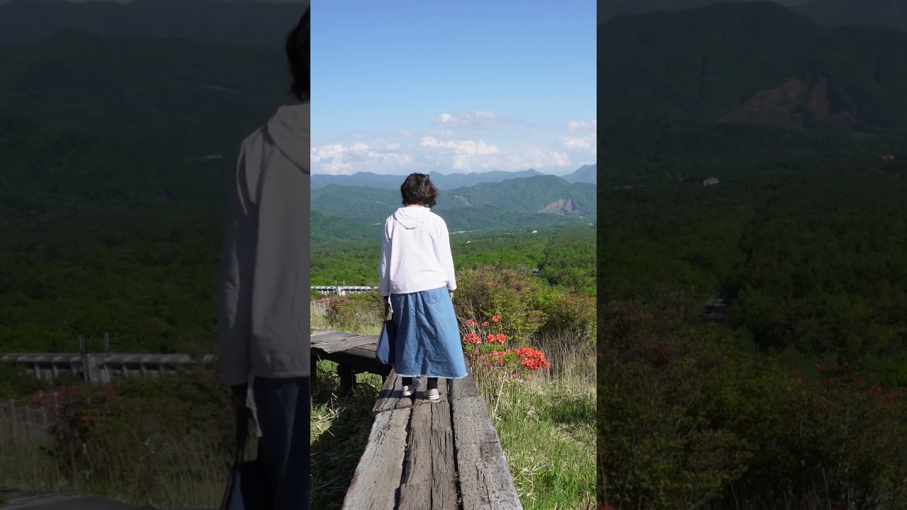 八ヶ岳南麓・森の中の白い妖精たち