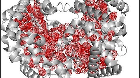 PyMol: Protein Cavity and Mutagenesis