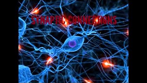 Synaptic Connections - August 29 (Original)