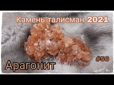 АРАГОНИТ🧡 КАМЕНЬ ТАЛИСМАН 2021 ГОДА🧿 Год Металлического быка🐂 #56🌪