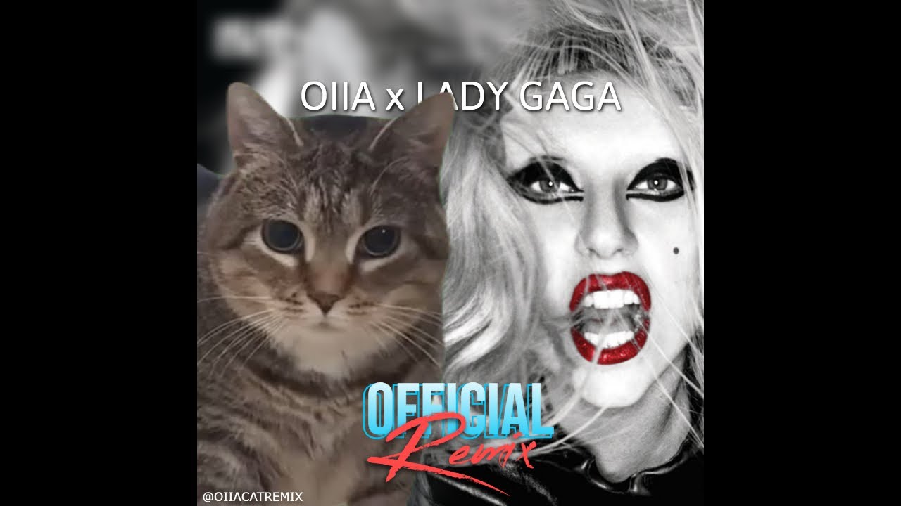 OIIA Cat x Judas | Lady Gaga (Official Remix) OIIA Cat x Judas | Lady Gaga (Official Remix)